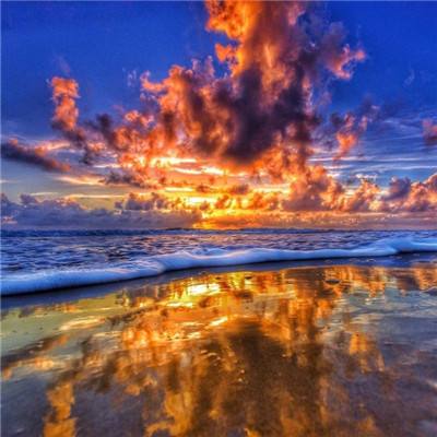 乐发lv彩票app下载安装截图